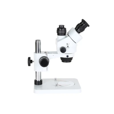 Ndlw LCD Digitale USB Riparazione Saldatura Analizzatore di sperma Telefono Gem Camera 4K Neurochirurgia 3D Dissezione Sgabello Carta Microscopio elettronico